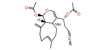 Ginamallene