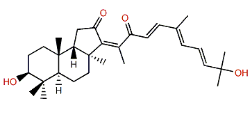 Globostelletin