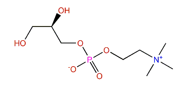 SN-Glycero-3-phosphocholine