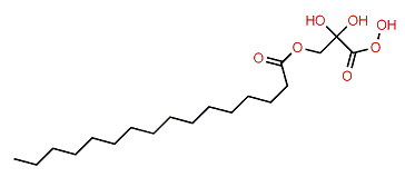 Glyceryl-1,2-dioloate-3-palmitate