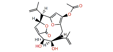 Gorgiacerodiol