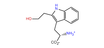 Halgerdamine