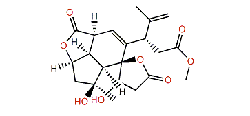 Havellockate