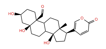 Hellebrigenin