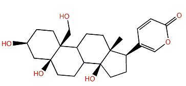 Hellebrigenol