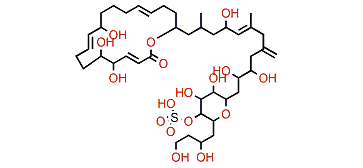 Hoffmanniolide