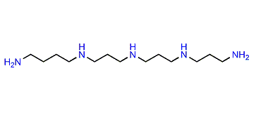 Homocaldopentamine