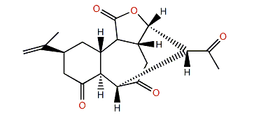 Horiolide