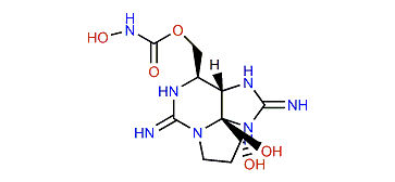 Carbamoyl-N-hydroxysaxitoxin