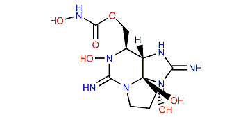 Carbamoyl-N-hydroxyneosaxitoxin