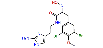 Ianthelline