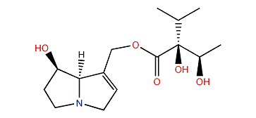 Intermedine