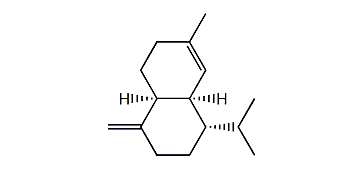 iso-gamma-Muurolene