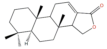 12-Spongien-16-one