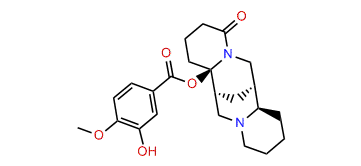 Isocinevanine