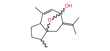 Isocurcumenol