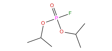 Diisopropyl fluorophosphate