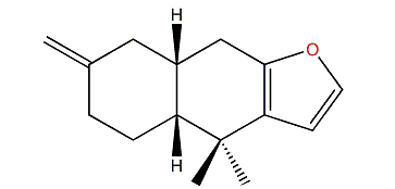 Isofurodysinin