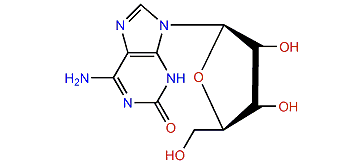 Isoguanosine