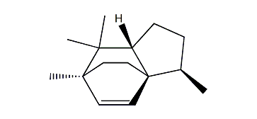 Isohelifolene