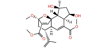 Isomandapamate