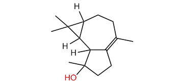 Isospathulenol