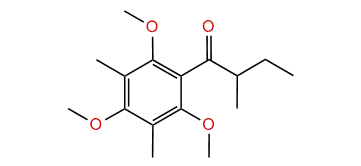 Isotorquatone