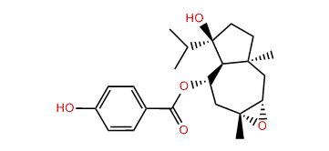 Jaeschkeanin