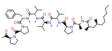 Jahanane