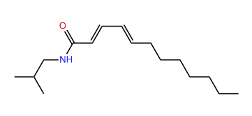 (E,E)-N-Isobutyl-2,4-dodecadienamide