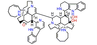 Kauluamine