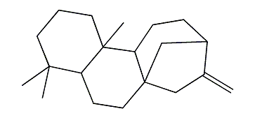 Kaurene