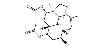 Kempene-1