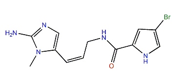 Keramadine