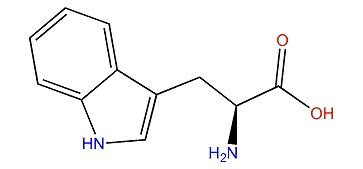 (S)-2-Amino-3-(1H-indol-3-yl)-propanoic acid