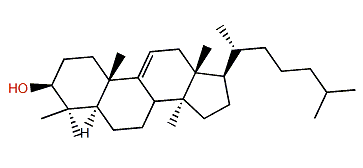 Lanost-8(9)-en-3b-ol