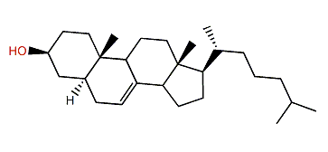5a-Cholest-7-en-3b-ol