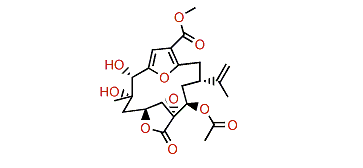 Leptodiol