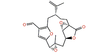 Leptolide