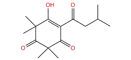 Leptospermone