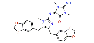 Leucettamidine