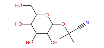 Linamarin