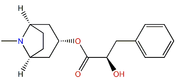 Littorine