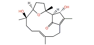 Lobocrasol