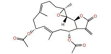 Lobomichaolide