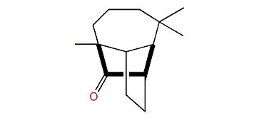 Longicamphenylene