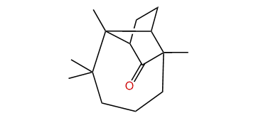 Longicamphenylone