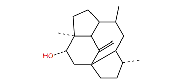 Longipen-3a-ol