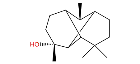 Longipinanol