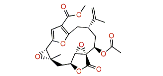 Lopholide